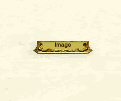 attachment image
