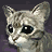attachment image