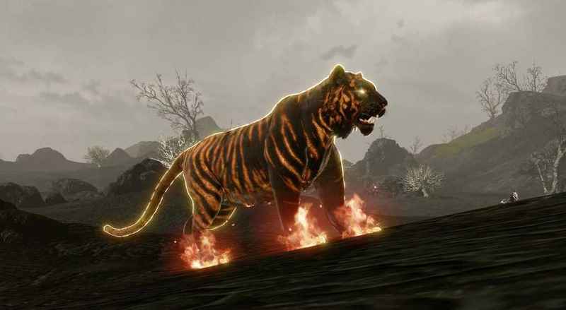 attachment image