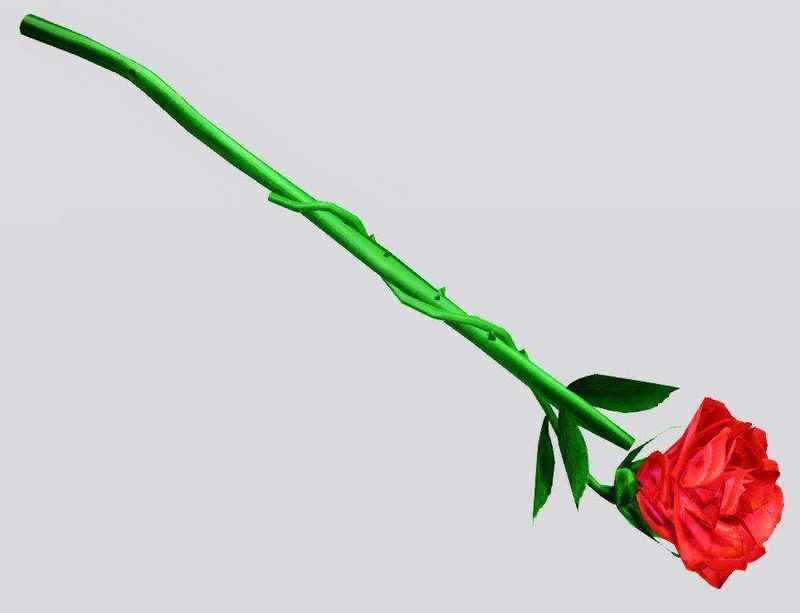 attachment image