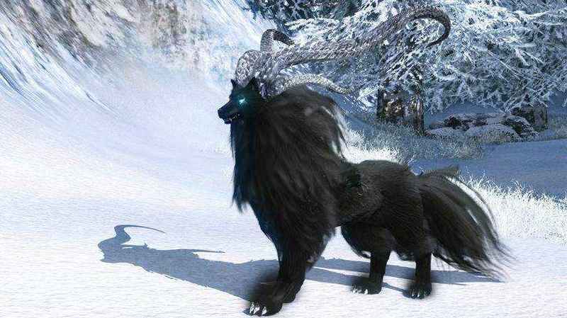 attachment image