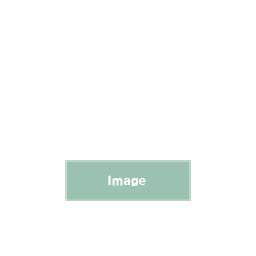 attachment image