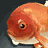 attachment image